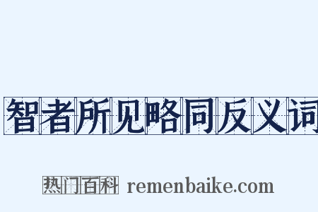 智者所见略同反义词是什么意思的图片